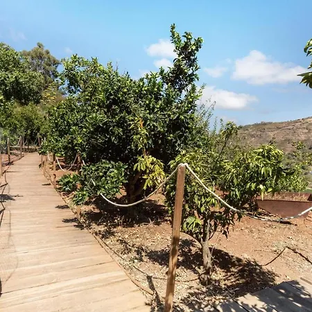Vcv Casa Rural La Yedra Tatil Evi *